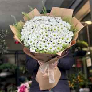  Antalya Lara Çiçek Gönder - Papatya & Gerbera