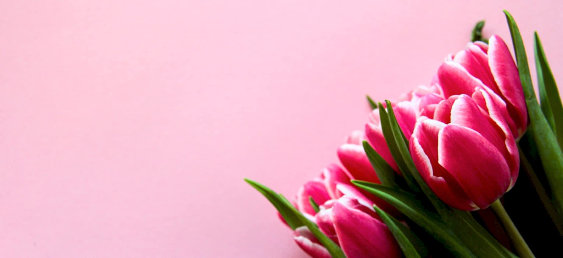 Antalya Lara Çiçekçi