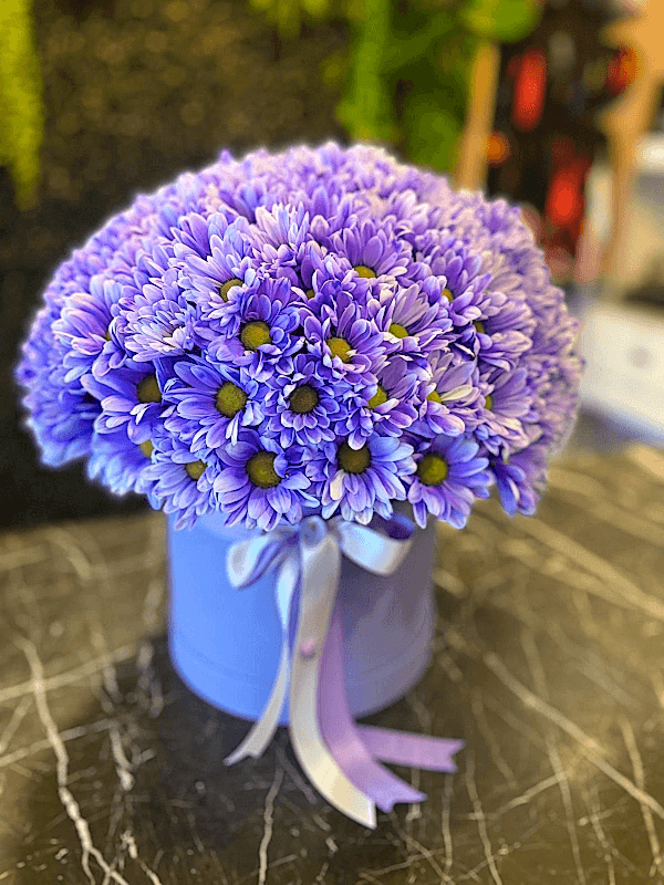  Antalya Lara Flowers - PURPLE WILDFLOWERS