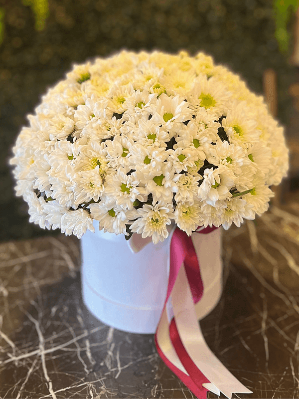  Antalya Lara Çiçekçiler - PAPATYA KUTUSU