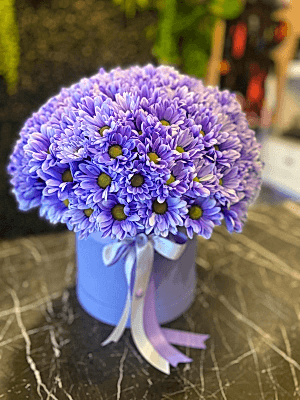  Antalya Lara Çiçek Gönder - MOR KIR ÇİÇEKLERİ 