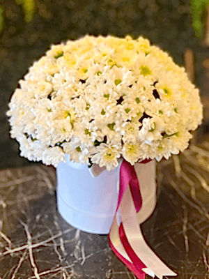  Antalya Lara Çiçekçiler - PAPATYA KUTUSU